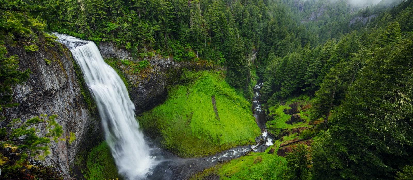 Logo a primární vizuální identita